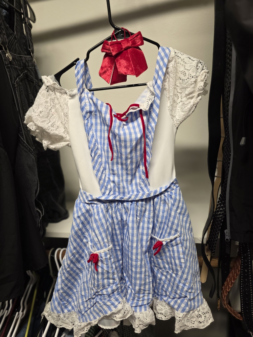 Wizars Of Oz Dorthy Costume With Bows